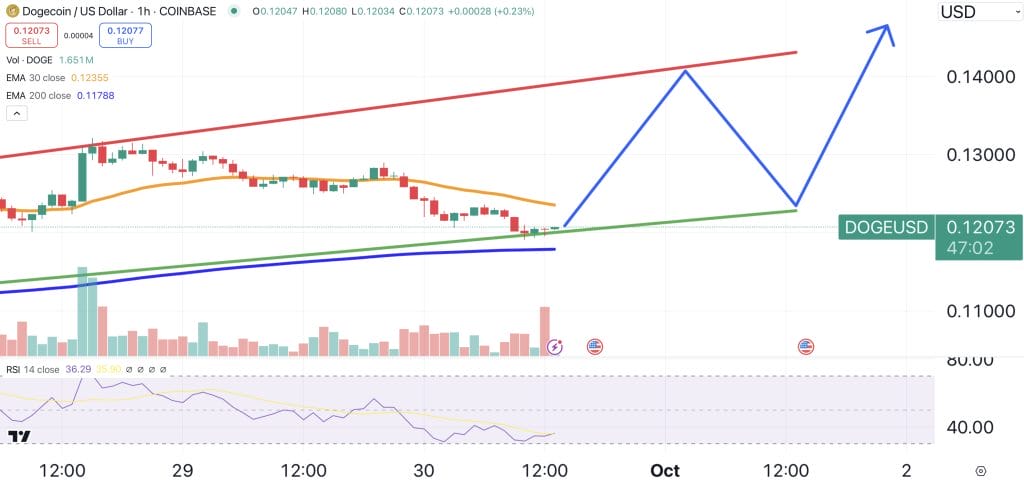 Dogecoin Price Analysis: Gigantic 1.4 Billion DOGE Purchase Raises Questions