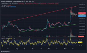 Shiba Inu Burn Rate Skyrockets to 2225%, As a New Cat Meme Coin Pops Up On Analysts’ Radar