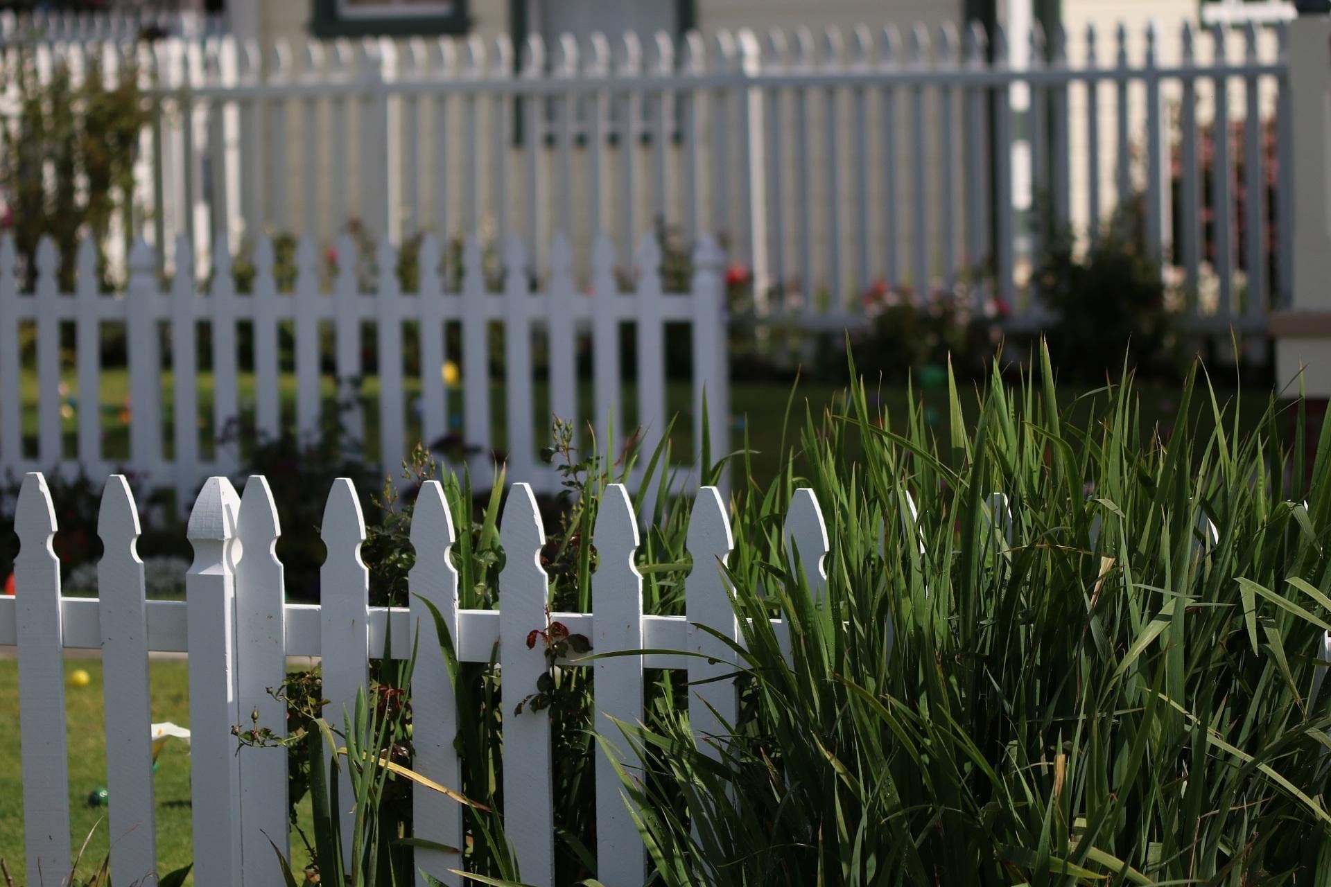 The Mamdanism Virus Is Spreading From New York 2 White picket fence symbolizing the American Dream challenged by Mamdanism, Image by Peter Brown from Pixabay