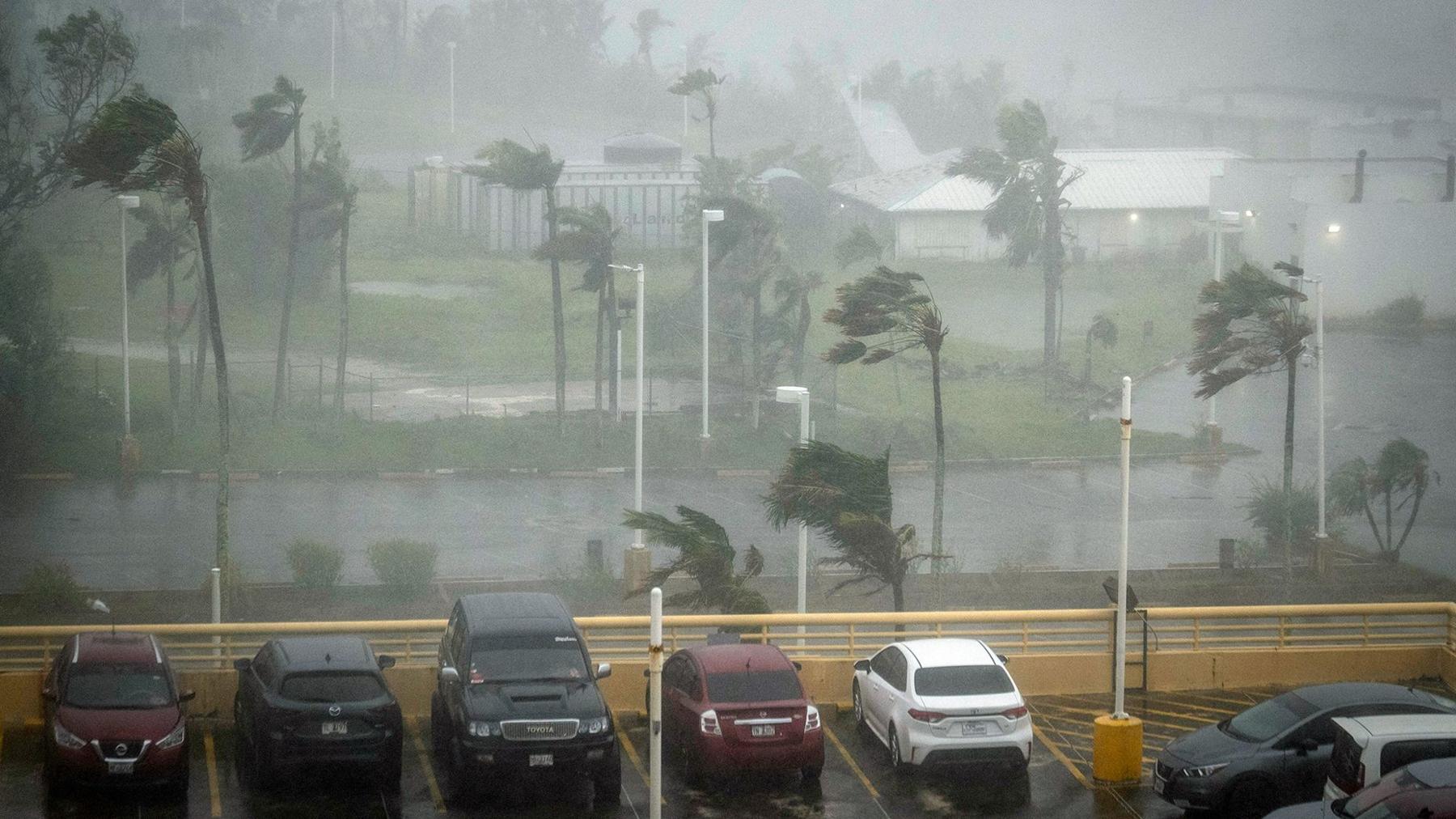 Trees are blown in strong wind and rain behind a full car park