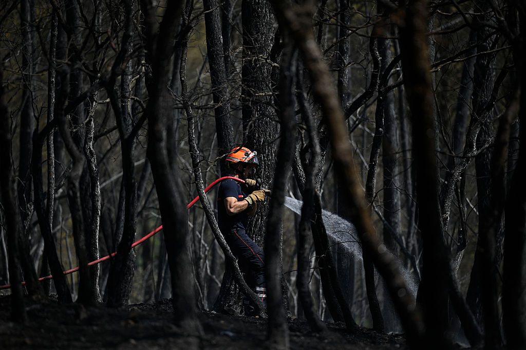 A firefighter sprays water on a scorched field, surrounded by burnt trees, following a wildfire in Cotignac south-eastern France on July 24, 2026