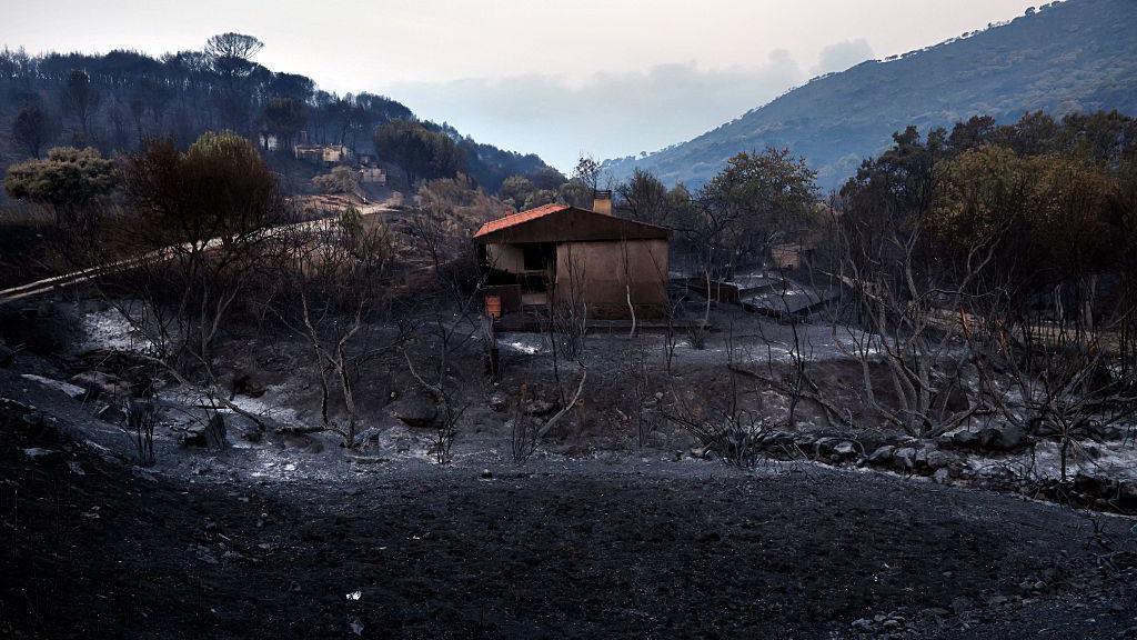 A house is severely damaged by fire, with burnt out trees and vegetation visible all around it