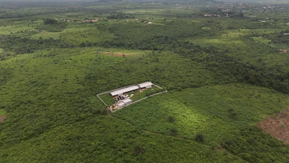 An aerial shot showing an expanse of green forest with a compound of buildings in the middle surrounded by a wall.