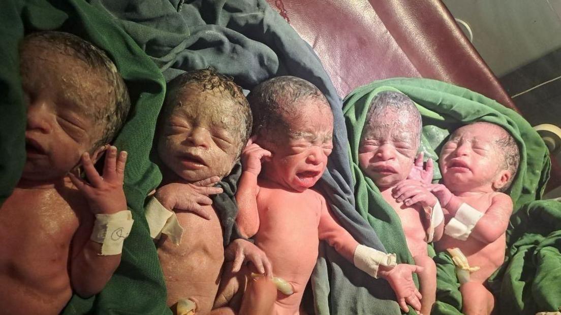 Five babies close up in hospital, placed on green sheets. They are still covered in residue from their births.