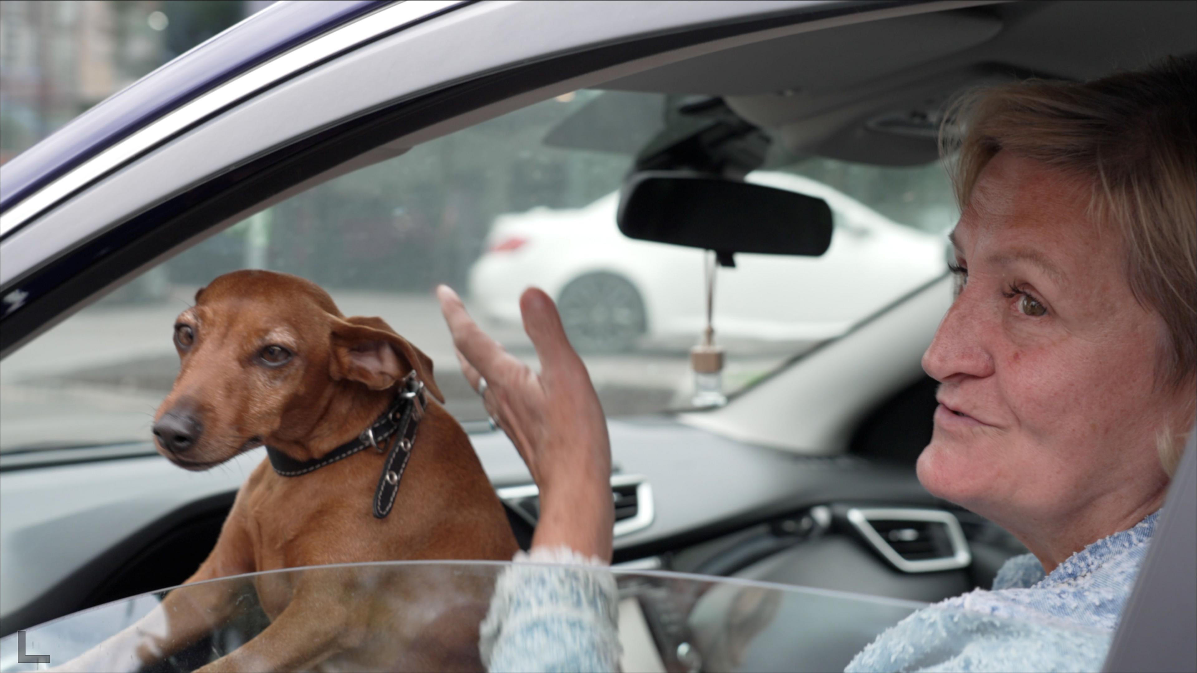 A small brown dog with a black collar peers out of a car window. It's sat on her owner's lap. Lyubov, the driver and dog owner, is wearing a blue jumper and gesturing out of the open window to the camera.