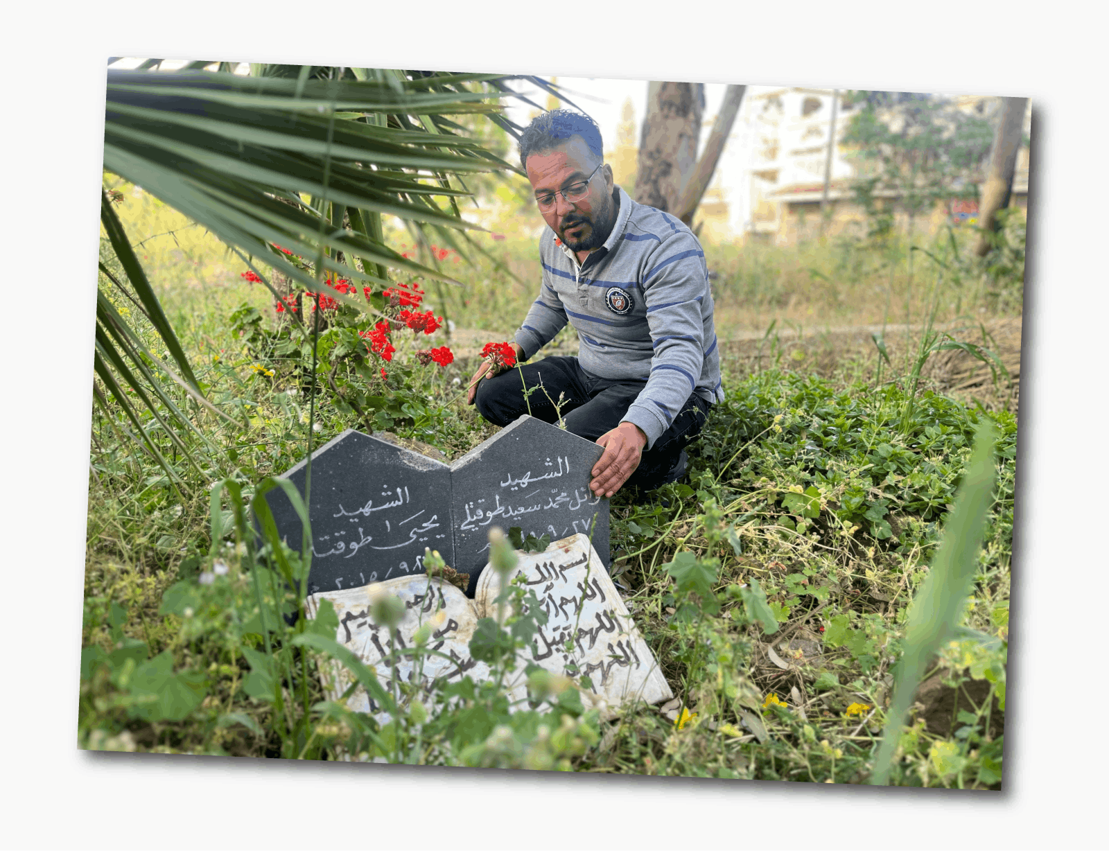 Mohammed wears a striped grey top with a collar, and kneels down next to a black and white grave inscribed with Arabic. There are red flowers planted next to it.