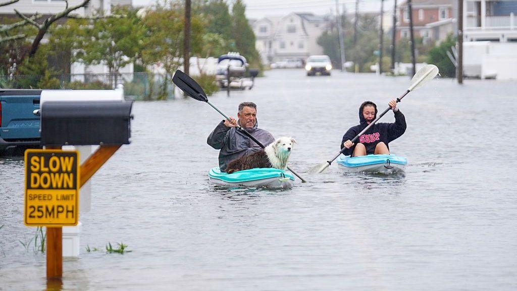 A man and woman kayak through a flooded road. A dog is on the man's kayack in the centre of the image. Mailboxes are on the left of the image.