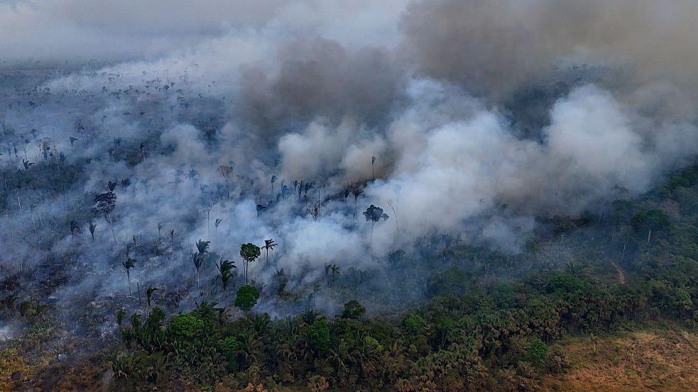 Aerial shot of dense green rainforest with thick clouds of smoke rising up into the air